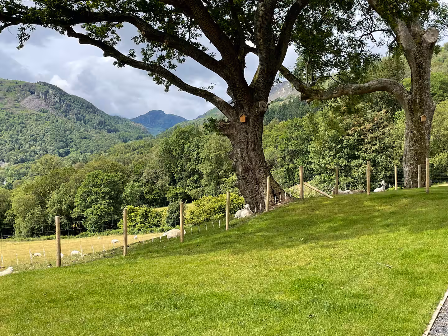 The view from The Barn, looking across the Conwy Valley to the mountains