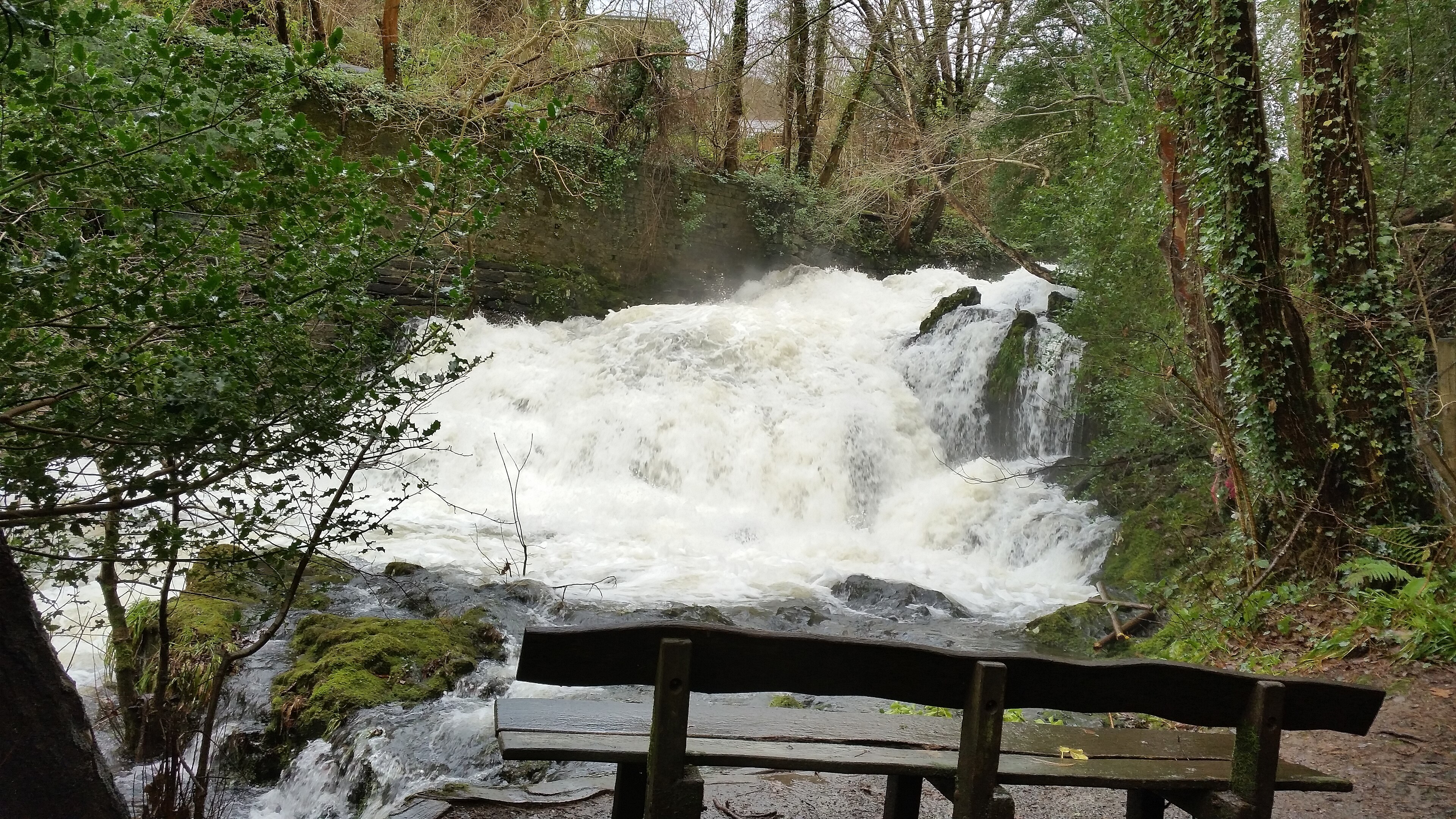 Fairy Falls — the Trefriw waterfall, two minutes from the estate